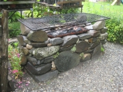 barbeque pit finished and planted with semps
