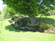 other end of same area after mulching