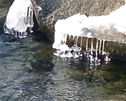 melting snow makes ice bells in the river