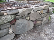barbeque pit finished and planted with semps