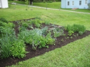 client, Barton Village Garden bed after weeding & mulch.