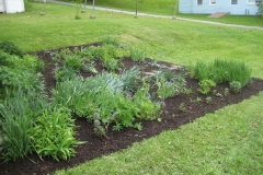 client, Barton Village Garden bed after weeding & mulch.