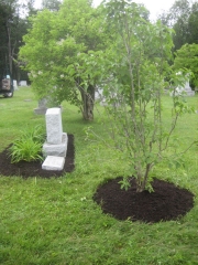 cemetery planting from another angle