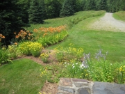 Greensboro front yard