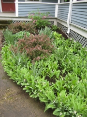 front of house, before