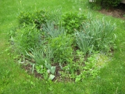 garden round, before