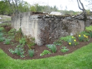 around the old milkhouse