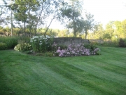 late summer in front of old milkhouse