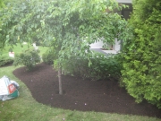 newest area after mulching