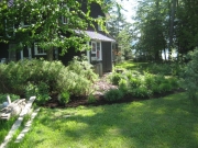 new garden area with daylilies
