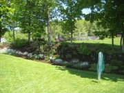 after mulching