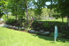 after mulching