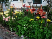 garden vignette lily garden