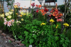 garden vignette lily garden