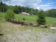 after mulching