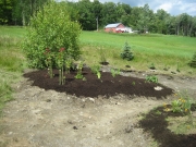 after mulching2
