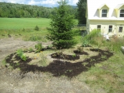 after mulching3