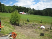 in progress, planting