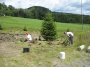 in progress, planting2