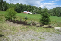 after mulching