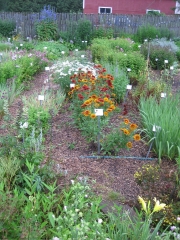 area of lower garden, August