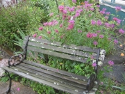 bee balm and bench