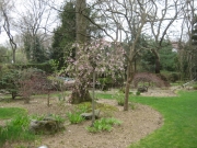 one of many island beds