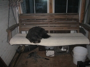 Gypsy:porch swing