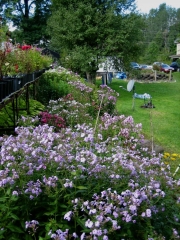 garden vignette in September