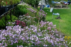 garden vignette in September