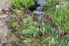 roadside along brook, small waterfall