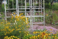 garden vignette