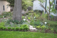 shade garden in early Spring