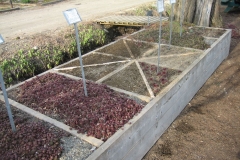 2nd of 2 14' raised beds